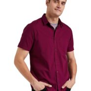 713elmsvGxL._SL1500_.jpg